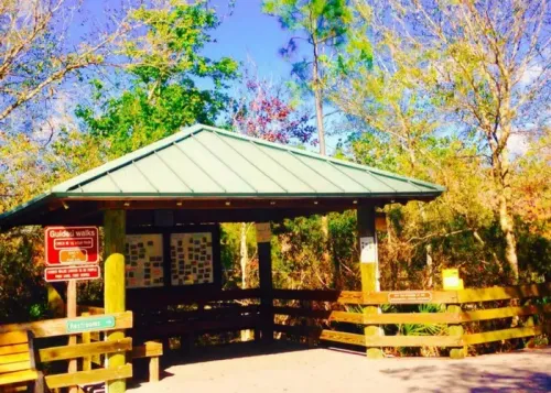 fort myers attractions